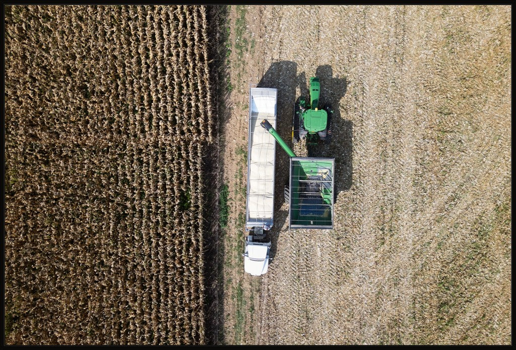 Aerial Corn Harvest IV