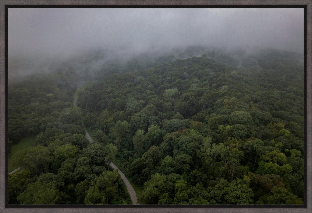 Fog Over the Bluffs Aerial