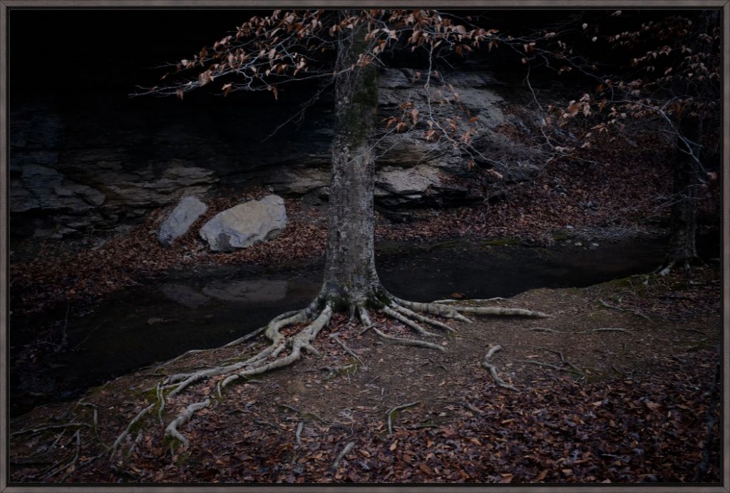 Winter Roots
