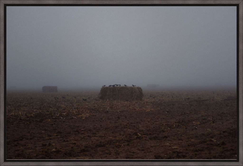 West Texas Winter Fog - 7