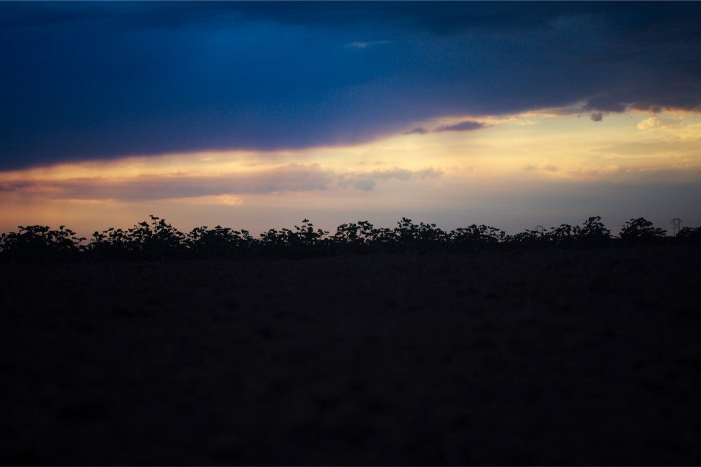 Sunset Cotton Silhouette