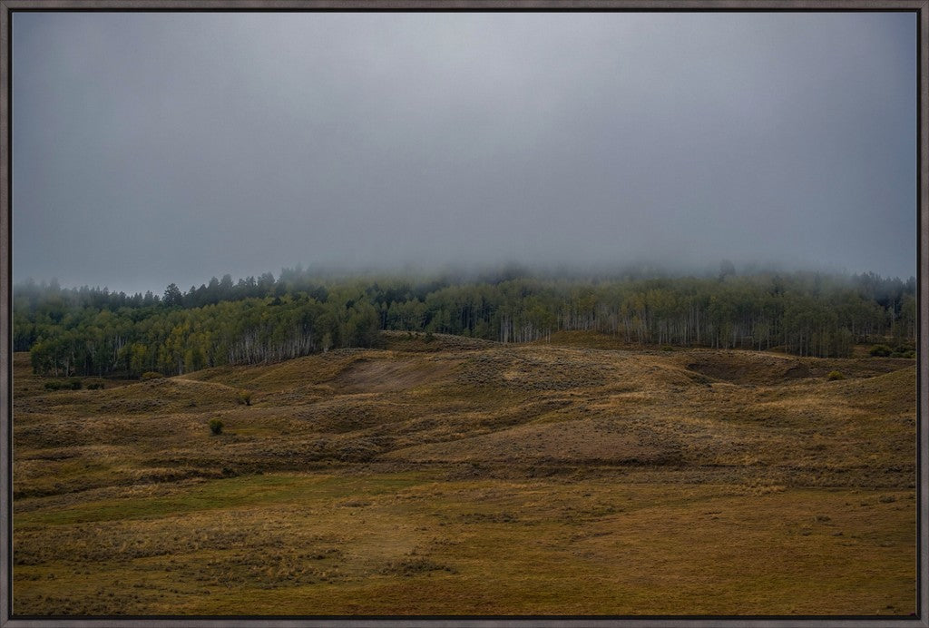 Low Clouds