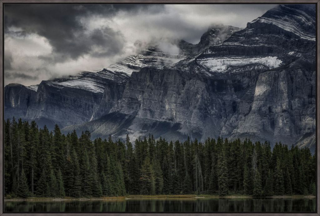 Green Forest and Mountain