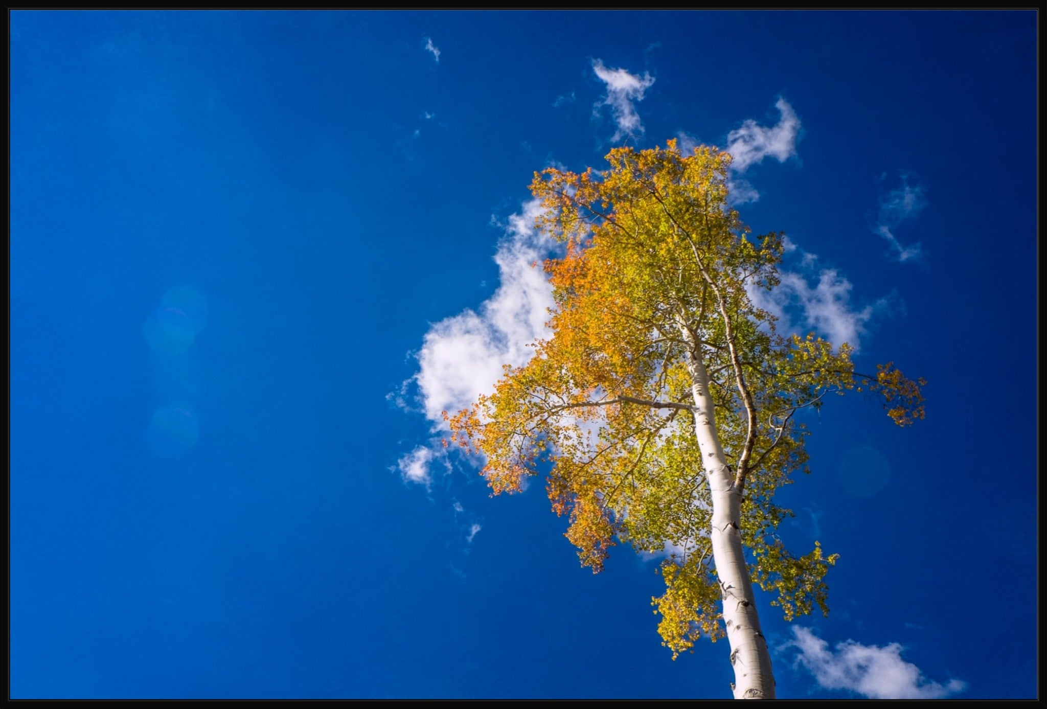 Aspen Cloud