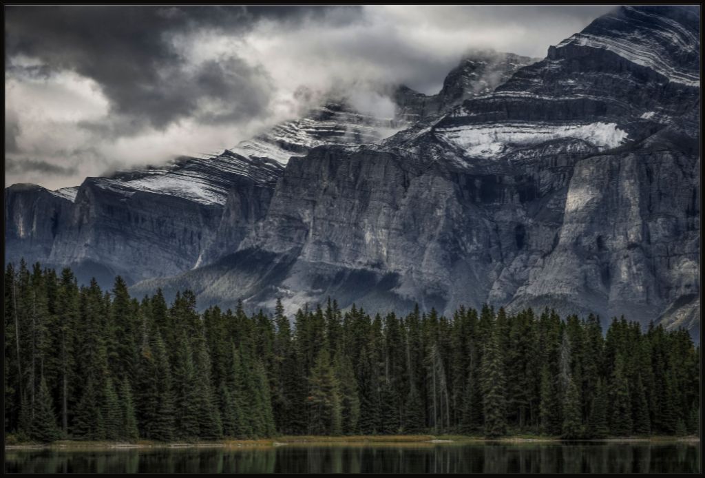 Green Forest and Mountain