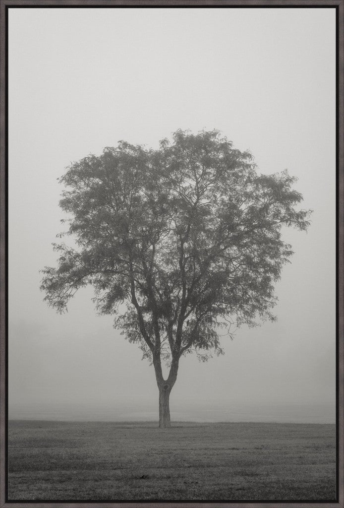 Tree in Fog