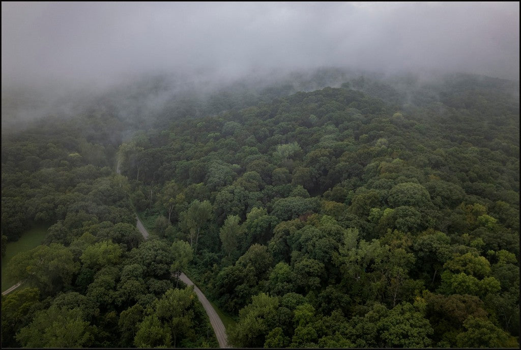 Fog Over the Bluffs Aerial