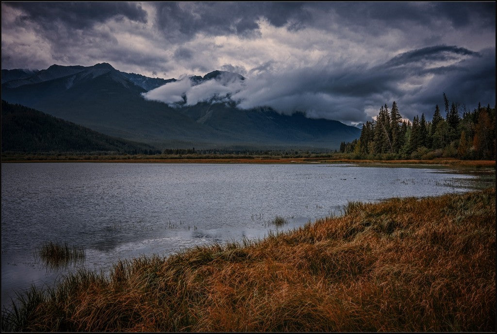 Alberta Wilderness Scene