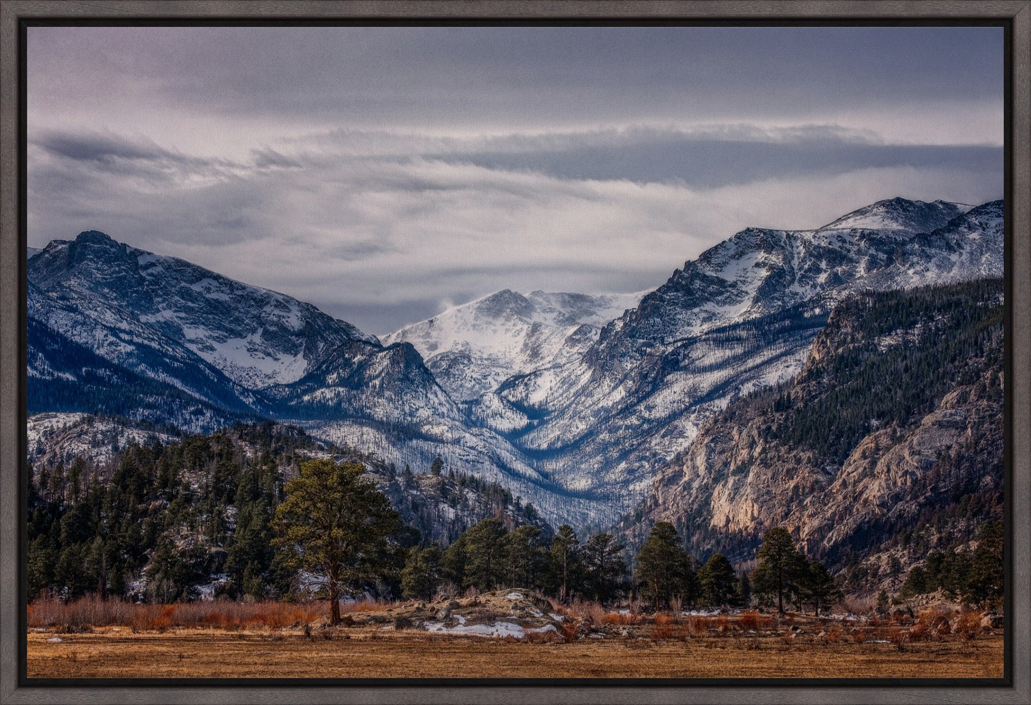 Front Range Winterscape