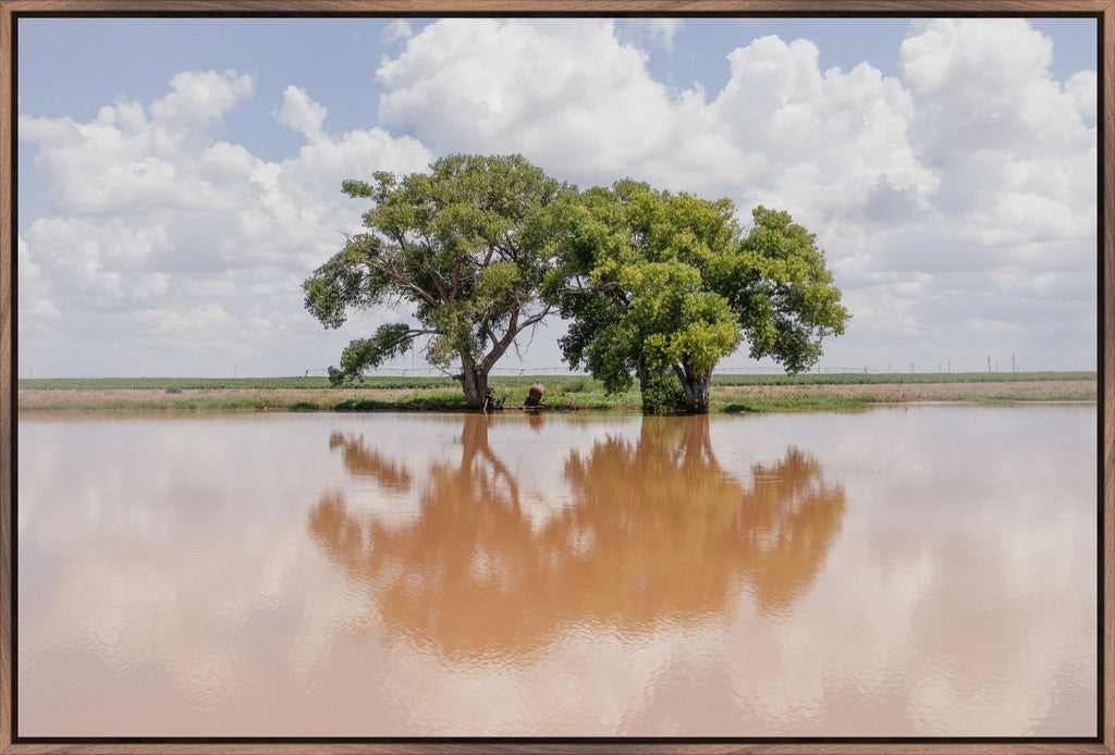 Soft Reflections
