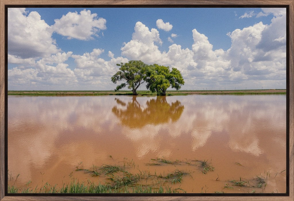 Muddy Reflections