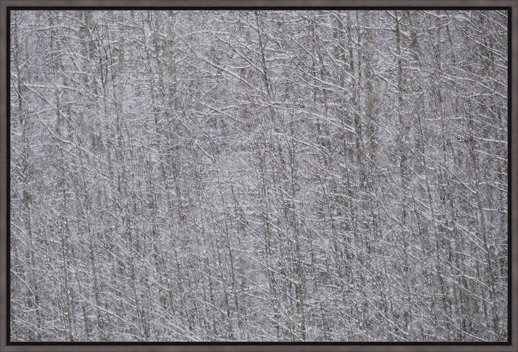 Heavy Snow & Forest Abstract I