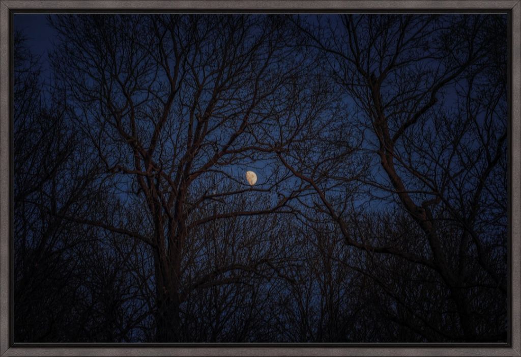 Winter Moon