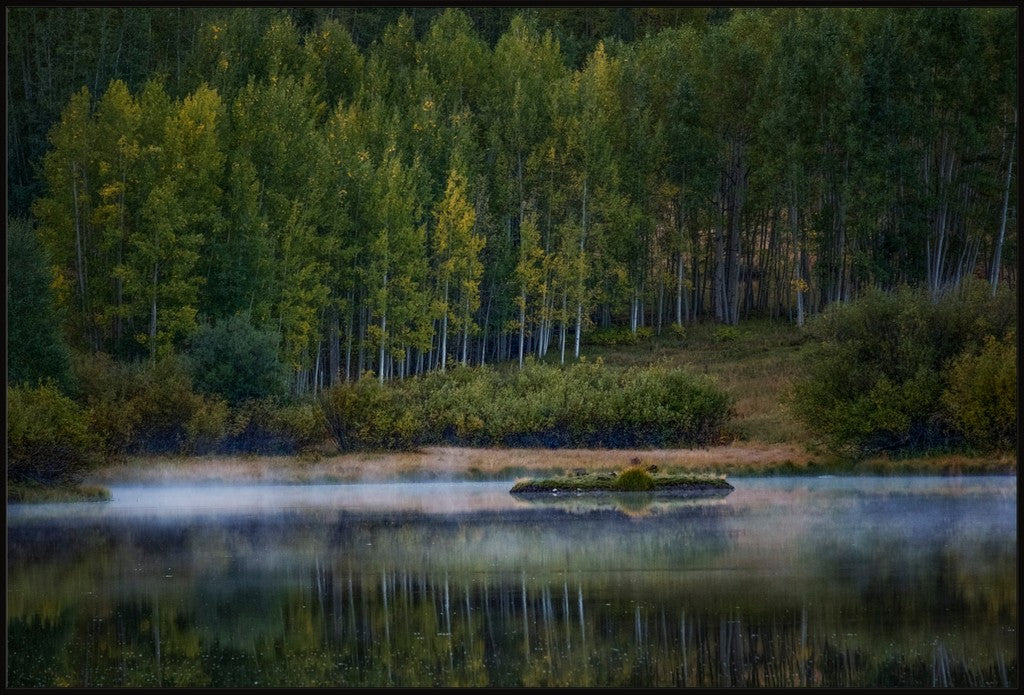 Misty Lake and Island