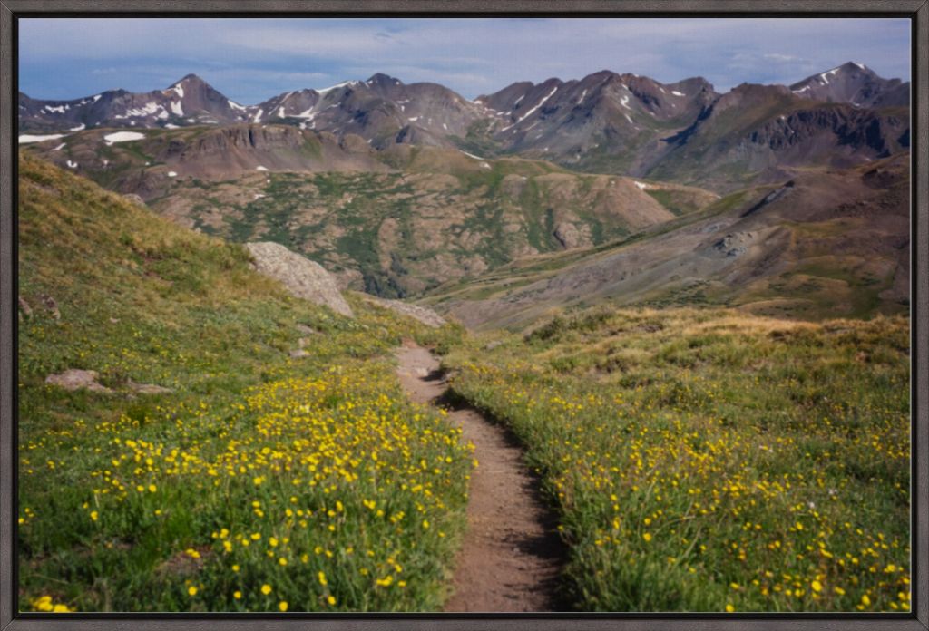 Wildflower Corridor