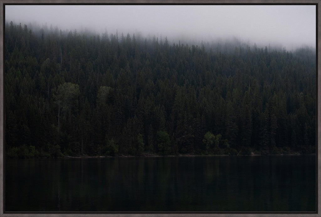 Montana Forest + Lake