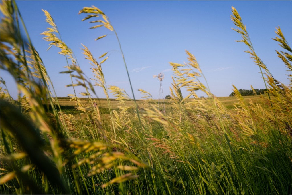 Historic Windmill and Prairie Grass