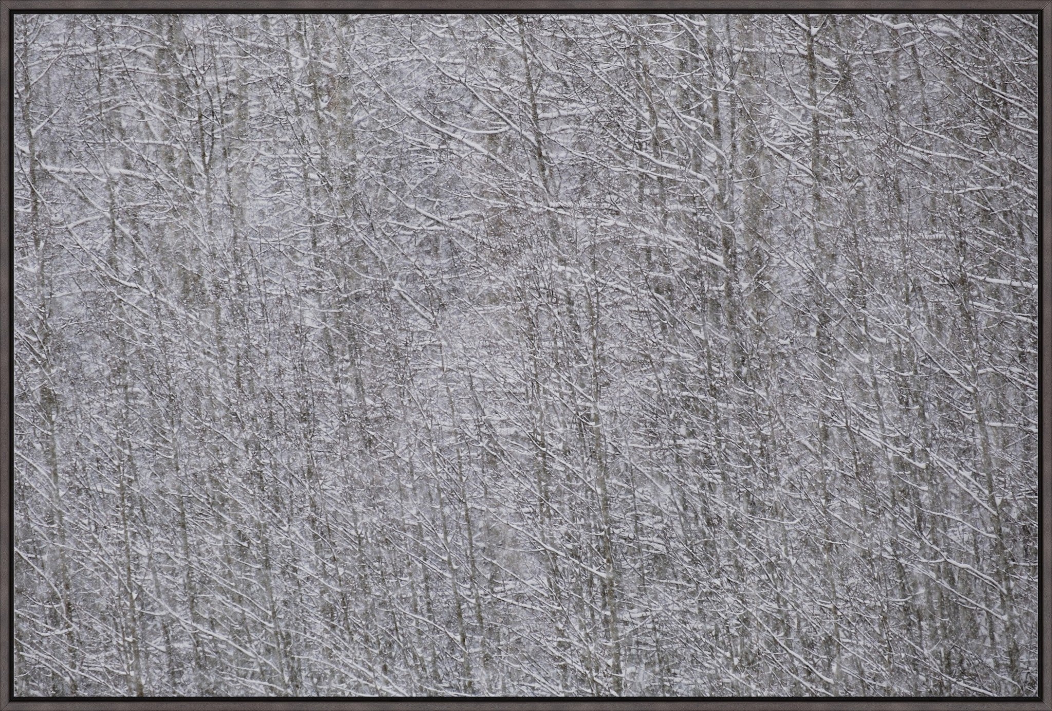 Heavy Snow & Forest Abstract I
