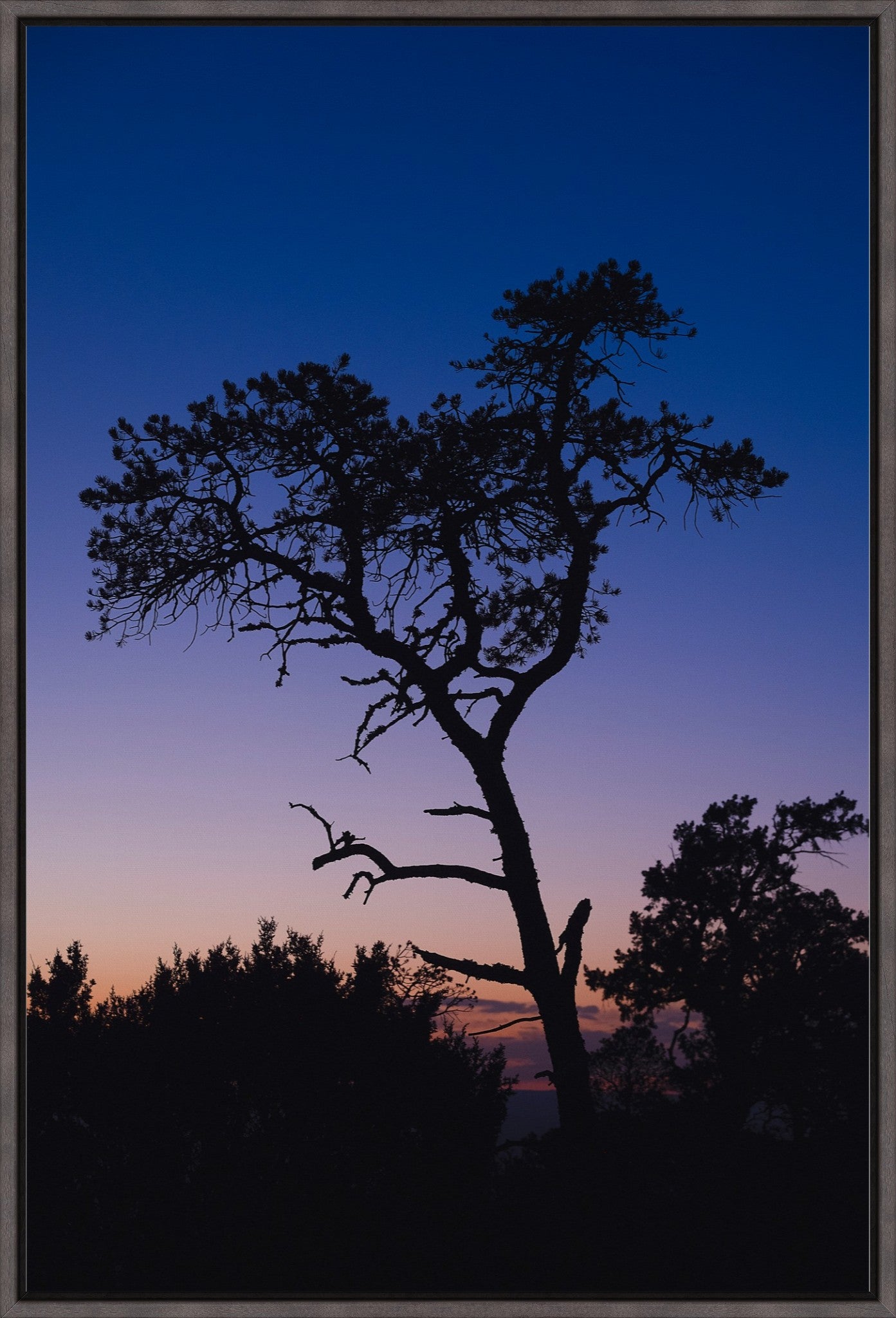 Heart of Lincoln National Forest