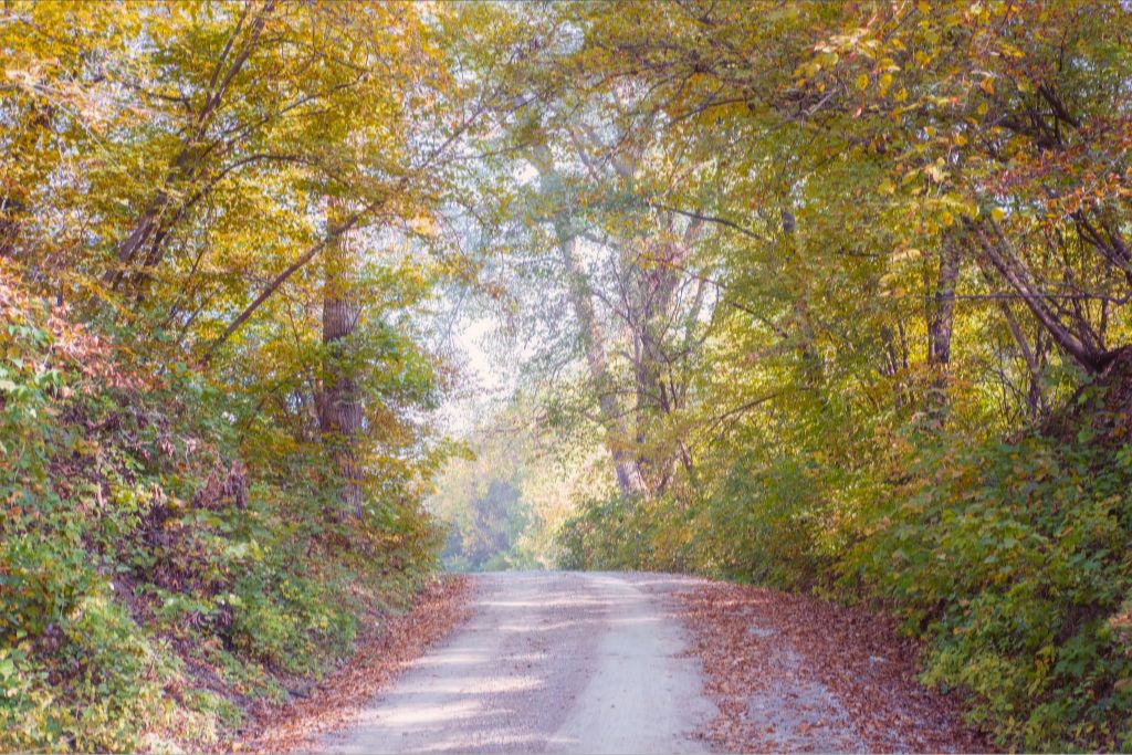 Midwest Fall Colors