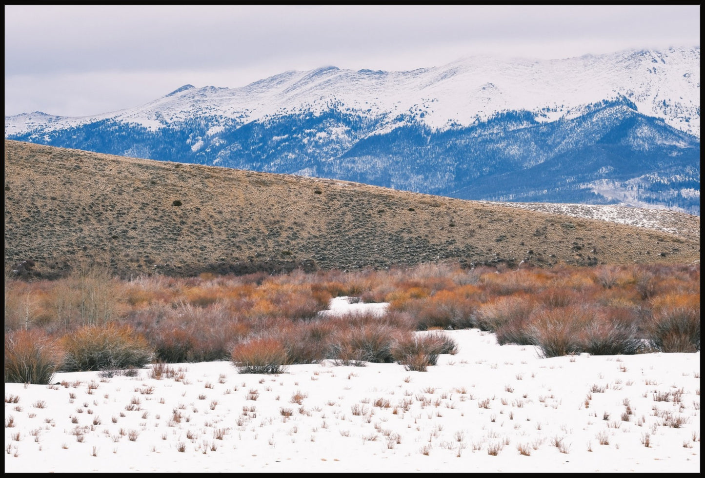 Rocky Mountain Winterscape