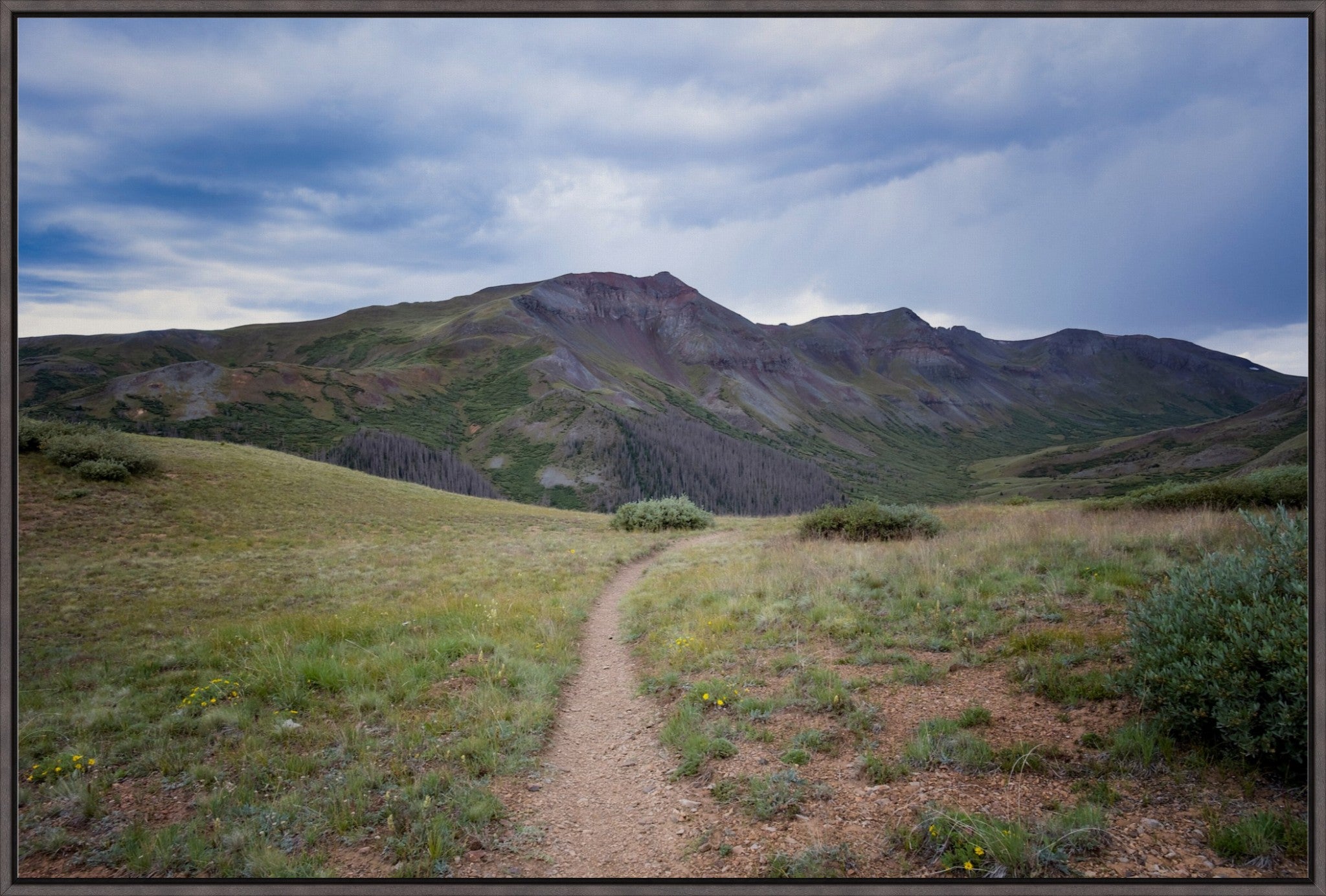 Into the San Juans