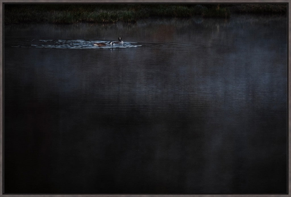 Geese on the Pond