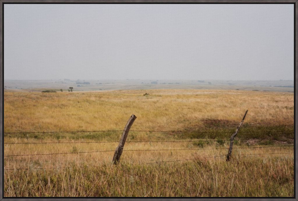 Southern Great Plains Grassland