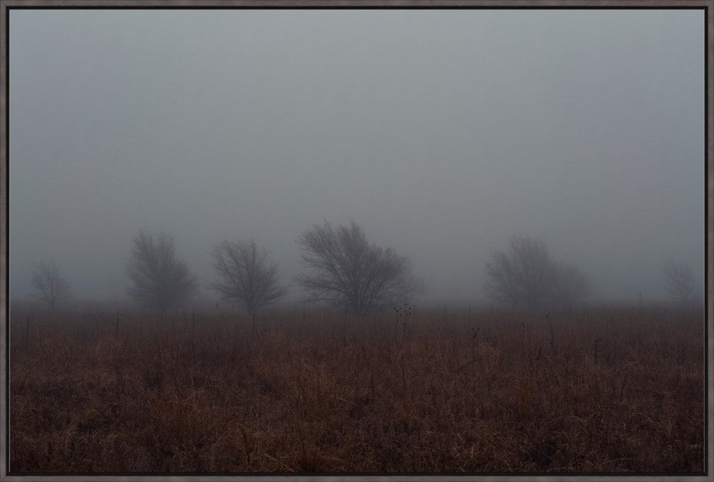 West Texas Winter Fog - 2