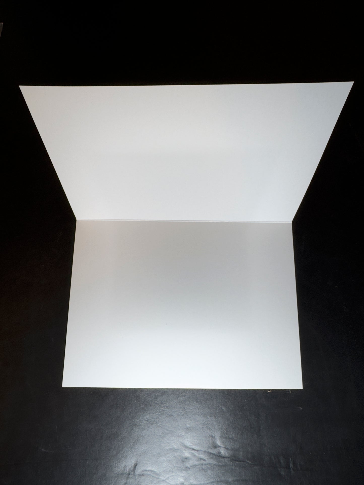 5x7 Fine Art Folding Card - Sunset Cotton Silhouette