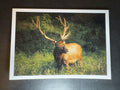 5x7 Fine Art Folding Card - Ashland Bull Elk I