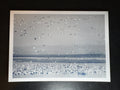 5x7 Fine Art Folding Card - Snow Goose Cyanotype II