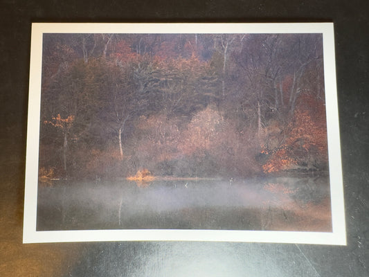 5x7 Fine Art Folding Card - Foggy Winter Woods and Lake