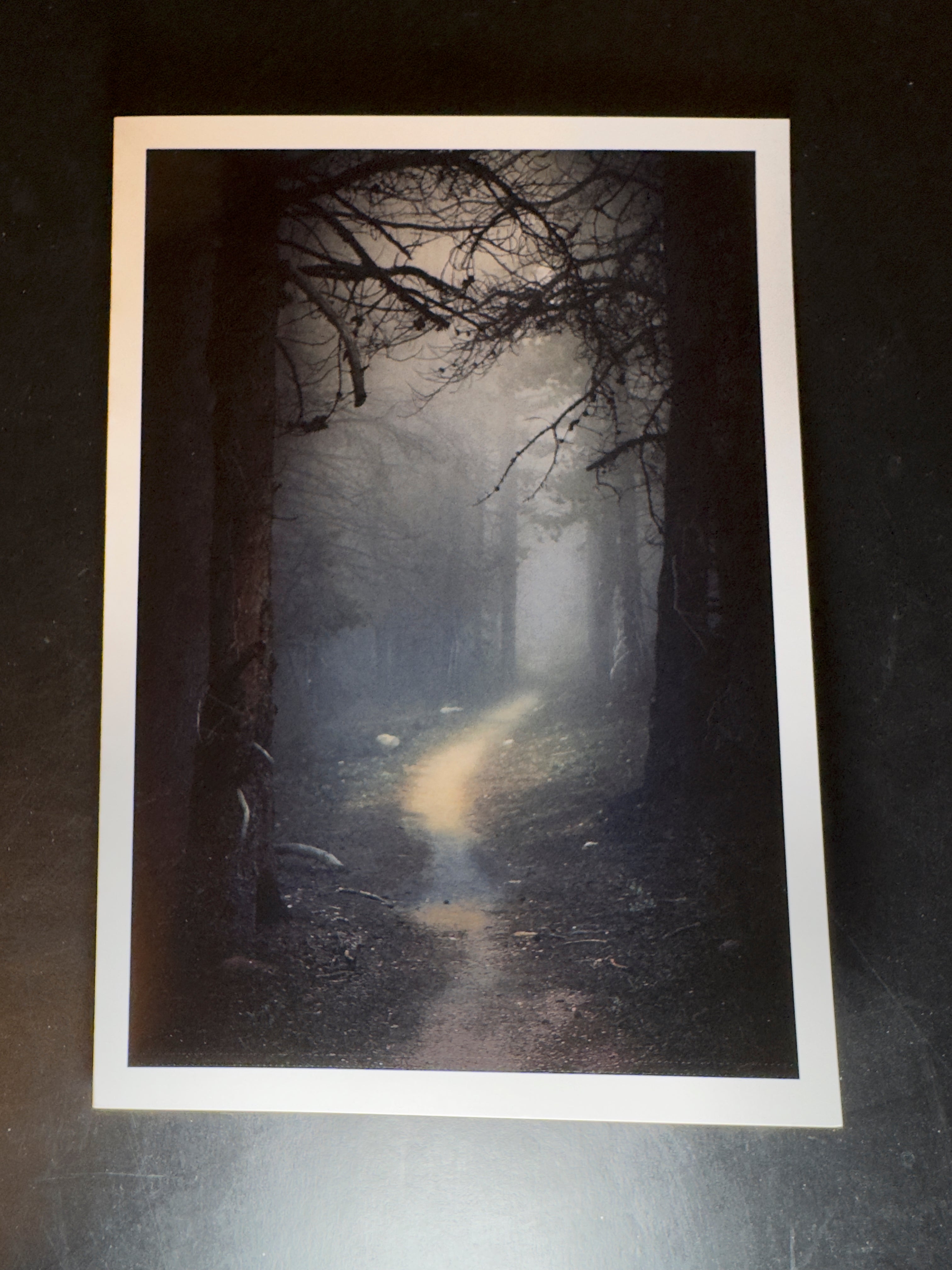 5x7 Fine Art Folding Card - Once Upon a Time