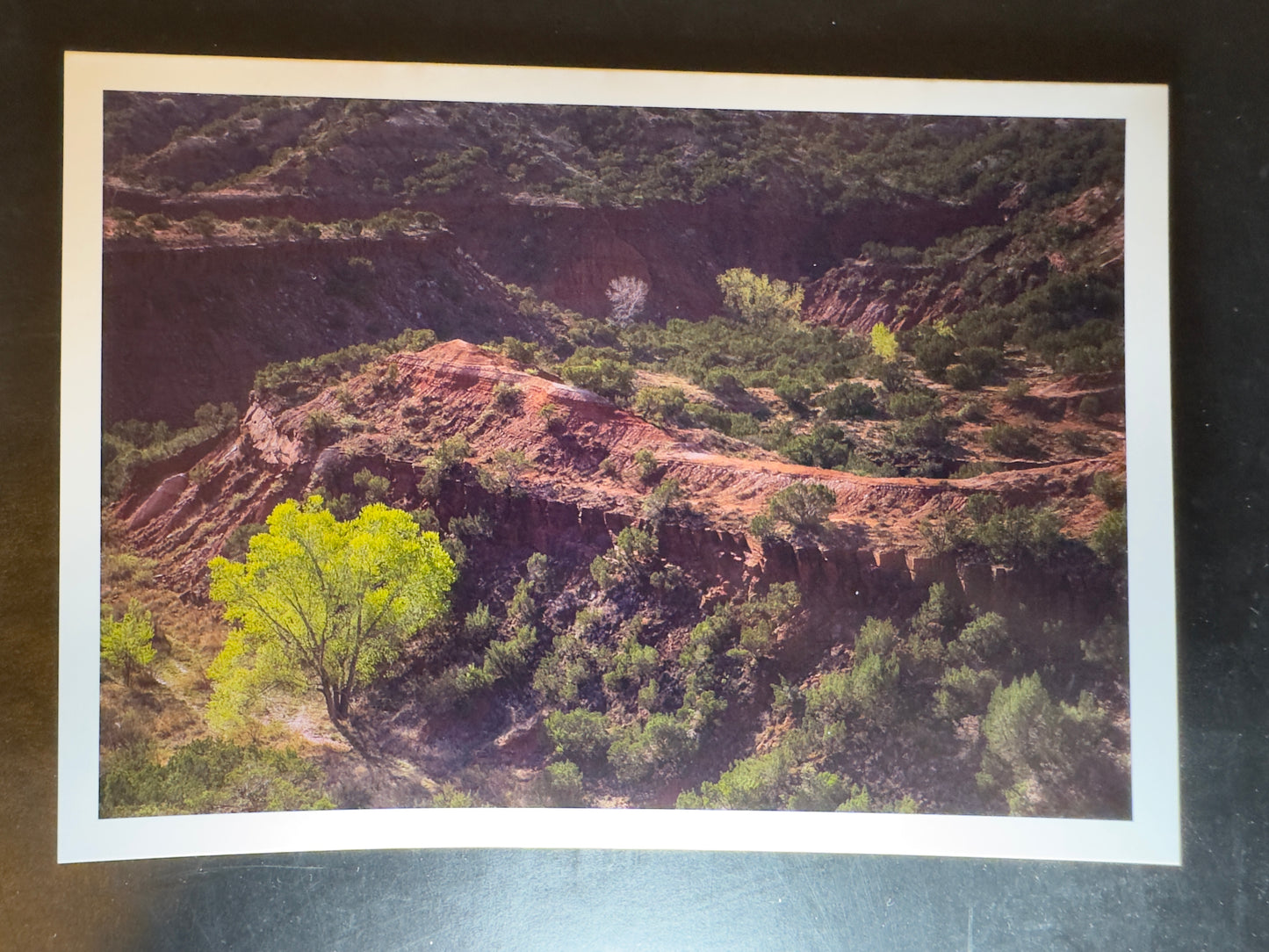 5x7 Fine Art Folding Card - Canyon Spring