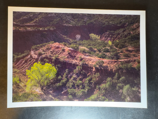 5x7 Fine Art Folding Card - Canyon Spring