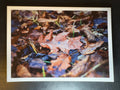 5x7 Fine Art Folding Card - Water Pooled on Fallen Leaf