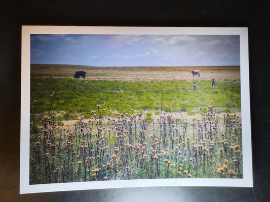 5x7 Fine Art Folding Card - Fence Gossip I