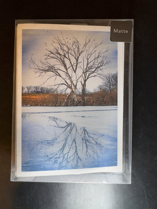 Set of 6 - 5x7 Fine Art Folding Cards - Thaw
