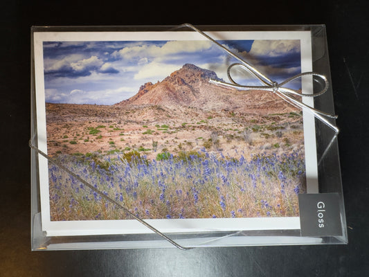Set of 6 - 5x7 Fine Art Folding Cards - Bluebonnet Sky