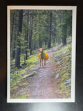5x7 Fine Art Folding Card - Gyorgy the Backpacking Dog