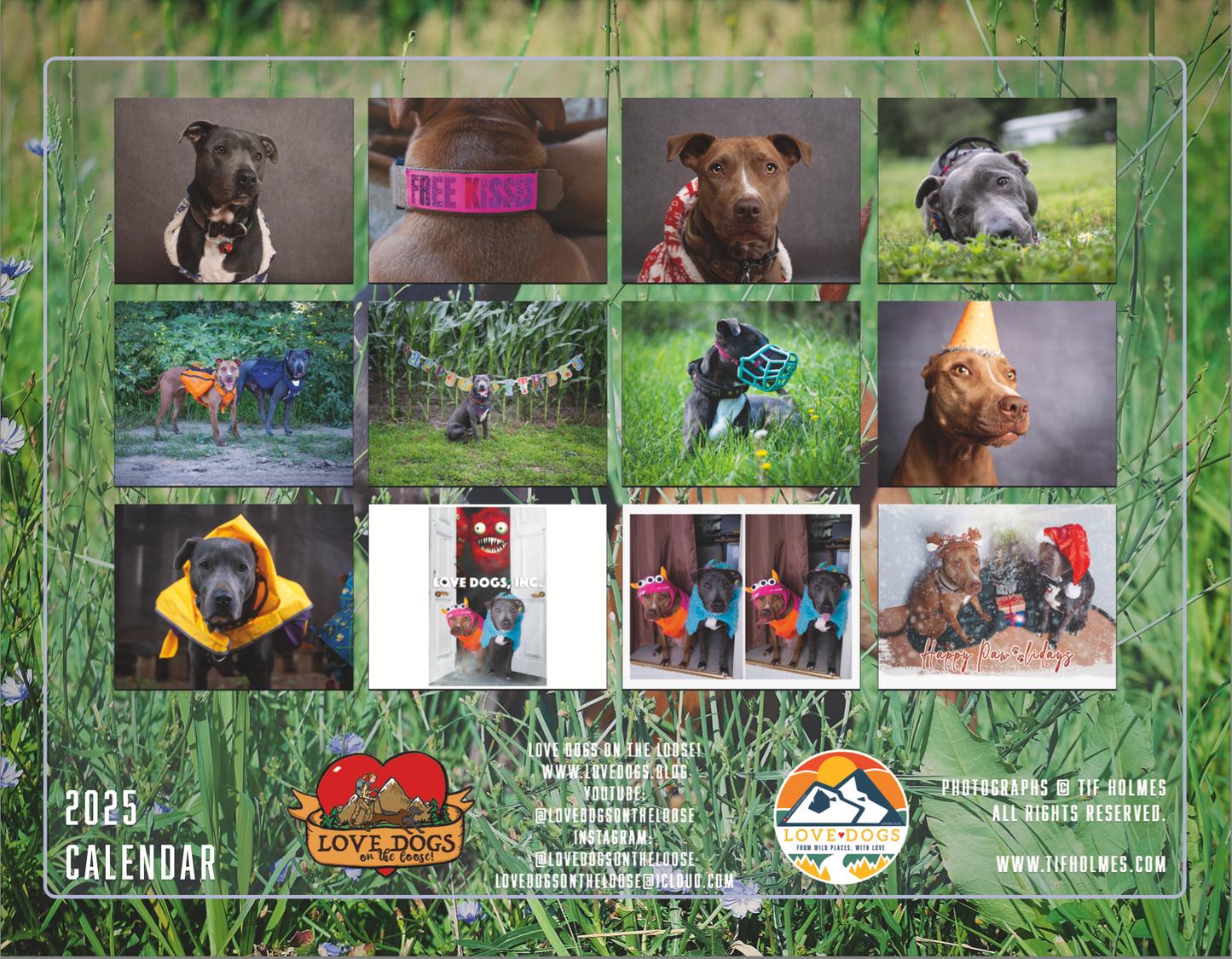 2025 Love Dogs Wall Calendar (Pre-Order)