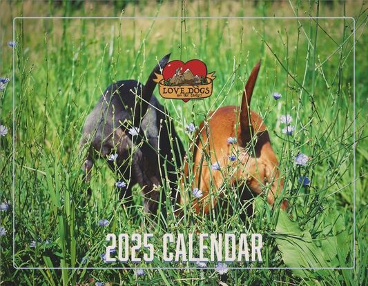 2025 Love Dogs Wall Calendar (Pre-Order)