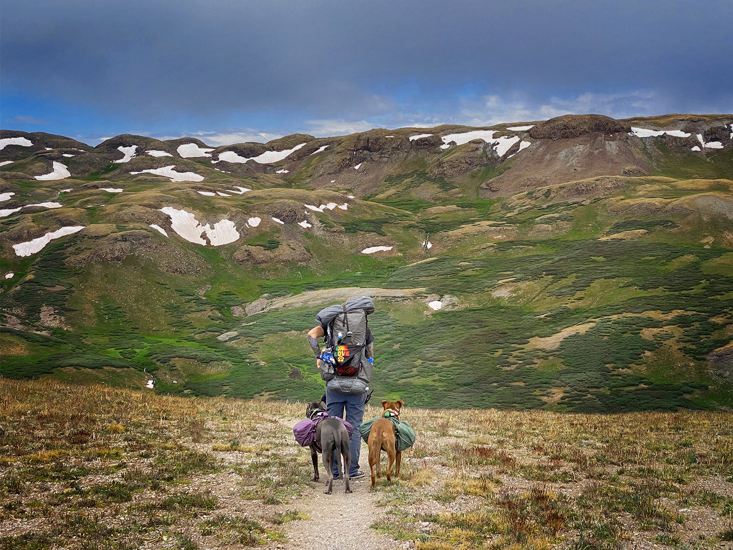 Person hiking with a backpack and two dogs in a mountainous landscape with snow patches.