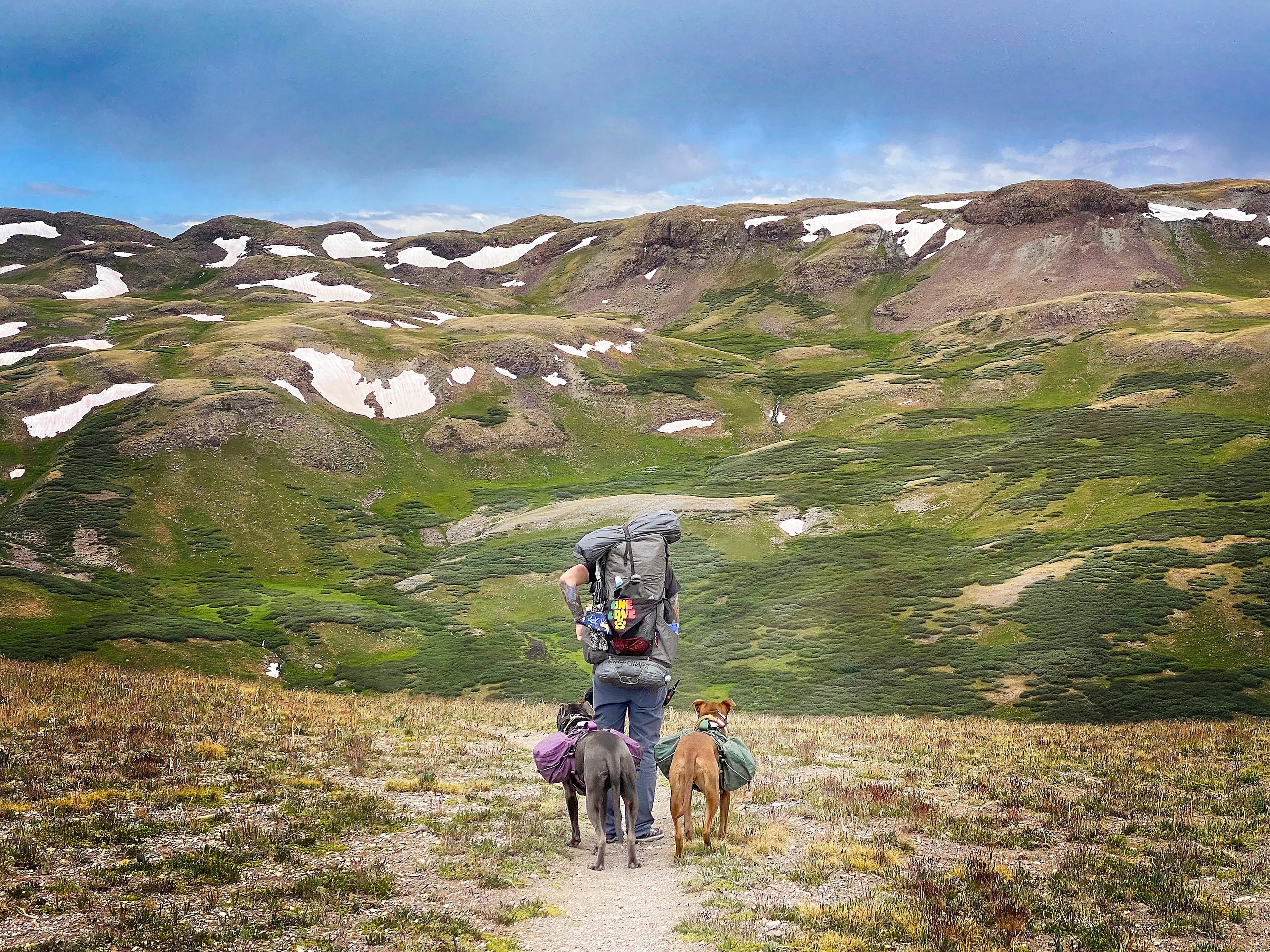 Photo of a woman with two large dogs standing on a hiking trail in front of a large snow-patched lush green mountainside.