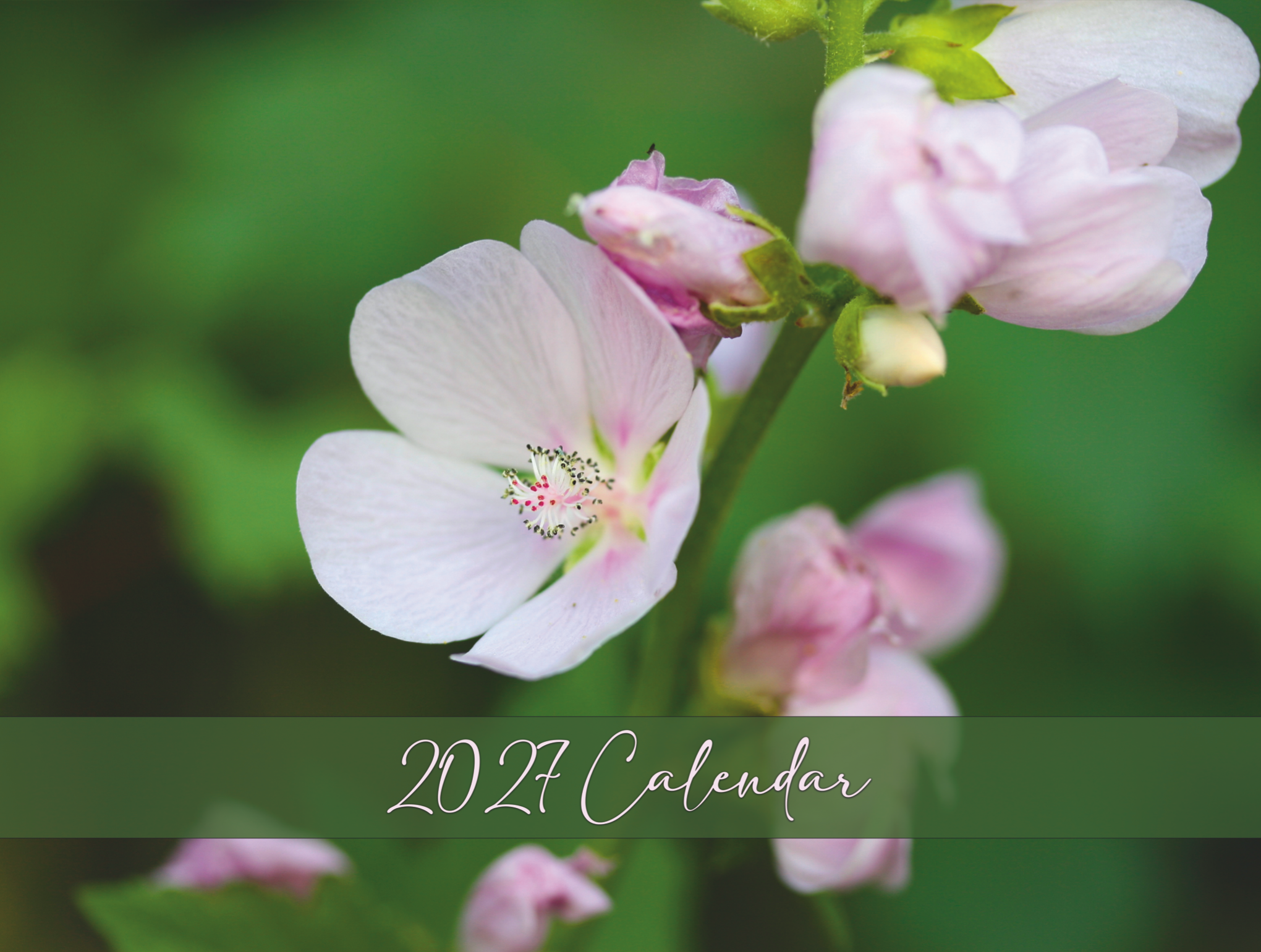 2027 Nature Wall Calendar