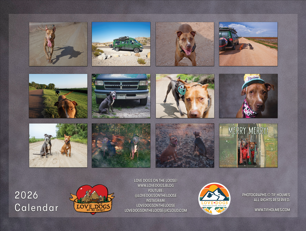 2027 Love Dogs Wall Calendar