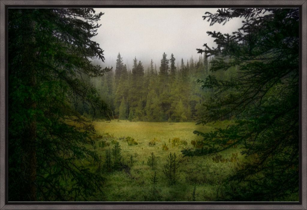 Window to a Misty Meadow