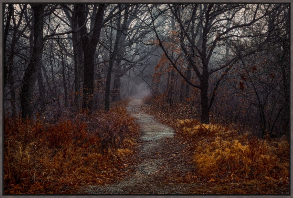 Misty Fall Path