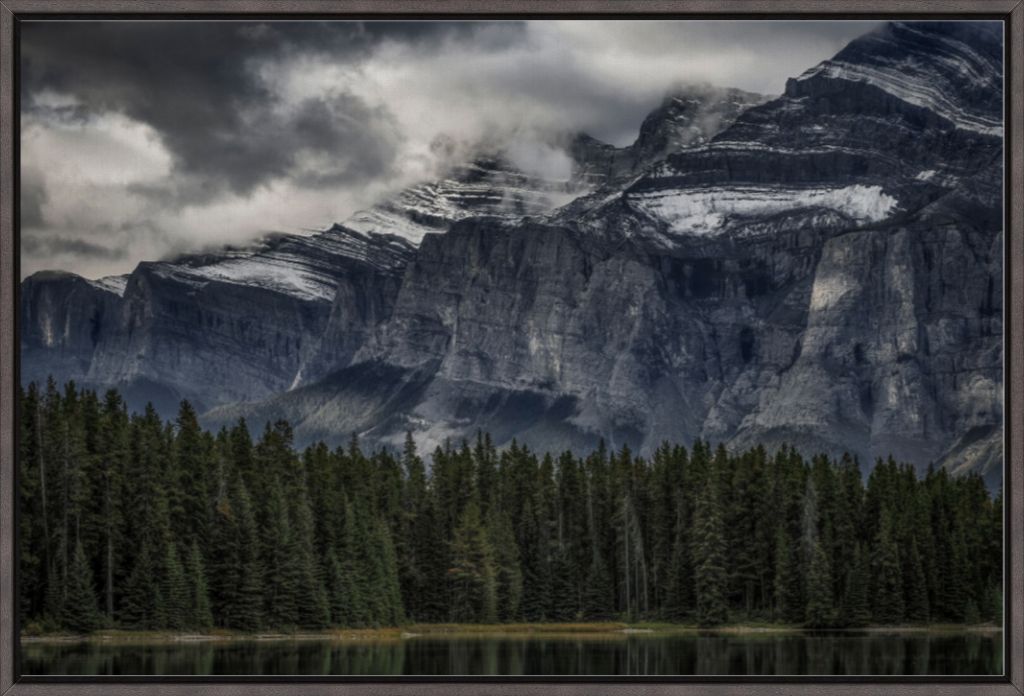 Green Forest and Mountain